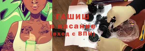 прущие грибы Волоколамск