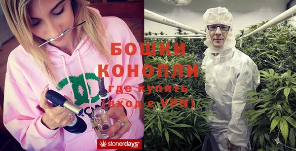 прущие грибы Волоколамск