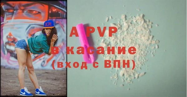 прущие грибы Волоколамск