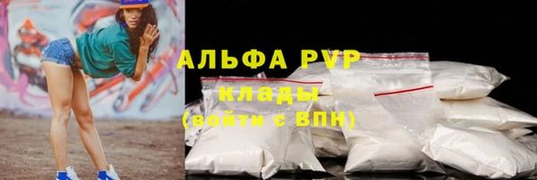 прущие грибы Волоколамск